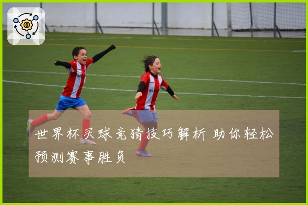 世界杯买球竞猜技巧解析 助你轻松预测赛事胜负