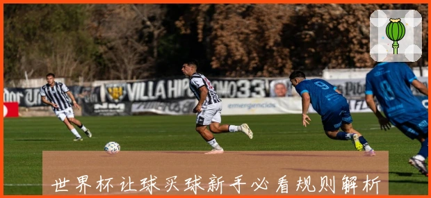 世界杯让球买球新手必看规则解析与实战对比
