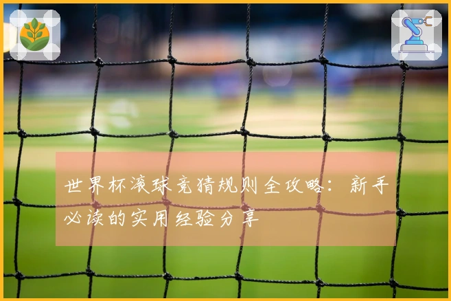 世界杯滚球竞猜规则全攻略：新手必读的实用经验分享