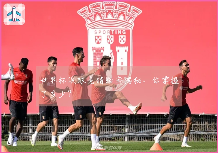 世界杯滚球竞猜赔率揭秘，你掌握了多少？
