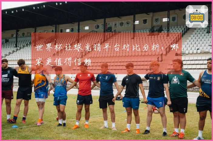 世界杯让球竞猜平台对比分析，哪家更值得信赖