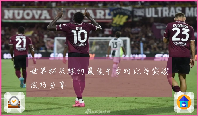 世界杯买球的最佳平台对比与实战技巧分享