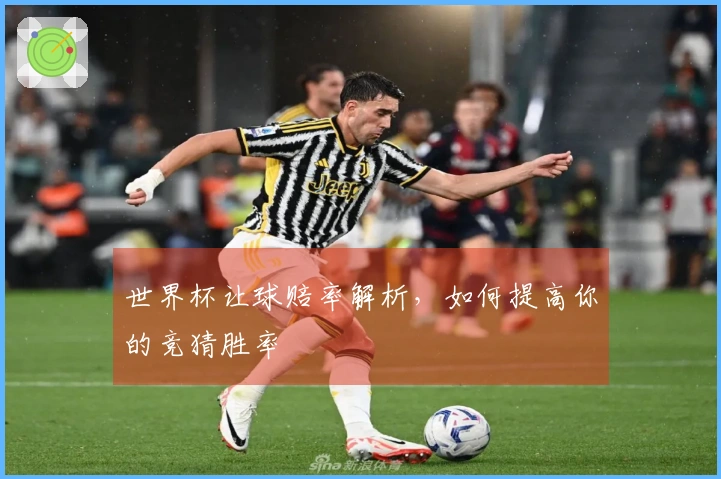 世界杯让球赔率解析，如何提高你的竞猜胜率