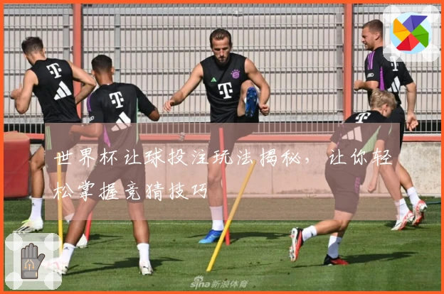 世界杯让球投注玩法揭秘，让你轻松掌握竞猜技巧