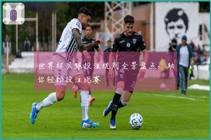 世界杯买球投注规则全景盘点，助你轻松投注比赛