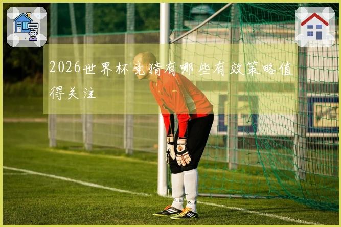 2026世界杯竞猜有哪些有效策略值得关注